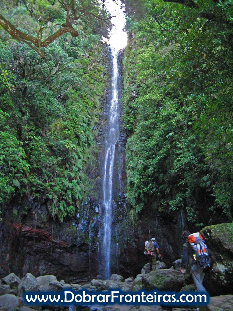 25-fontes-madeira