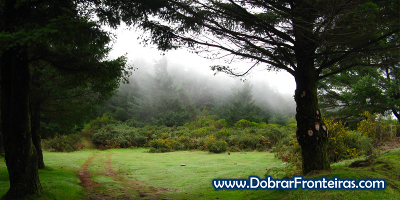 A paisagem verde do Poiso na Ilha da Madeira