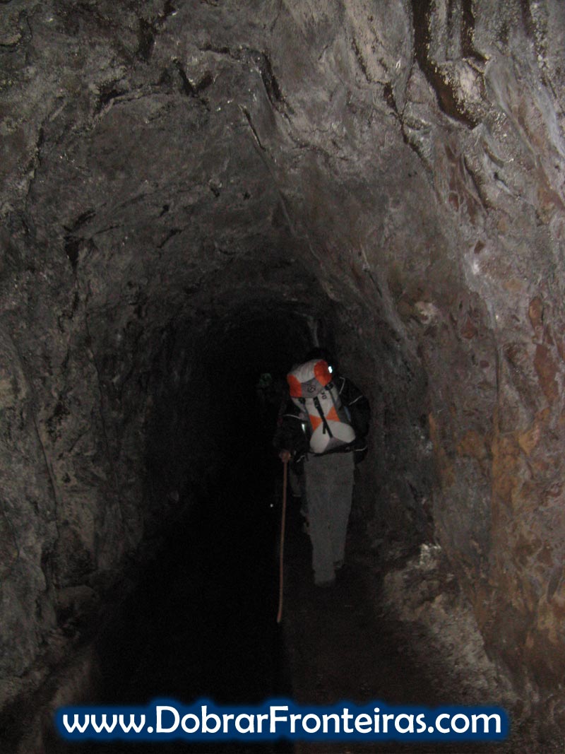 tunel-levada-madeira