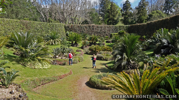A maior colecção de cicas da Europa no parque Terra Nostra