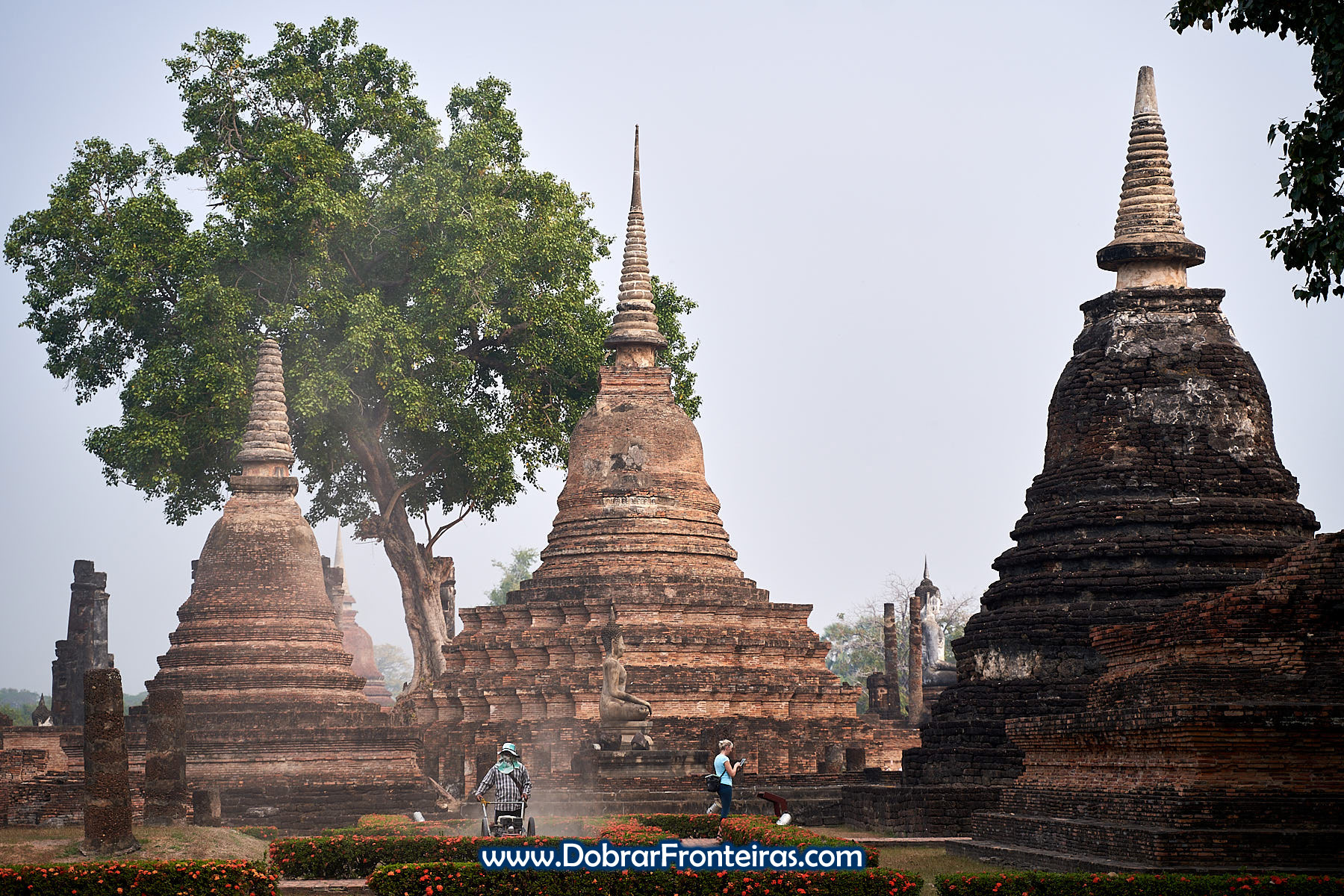Grande árvore e estupas de tijolo em Sukhothai, Tailândia