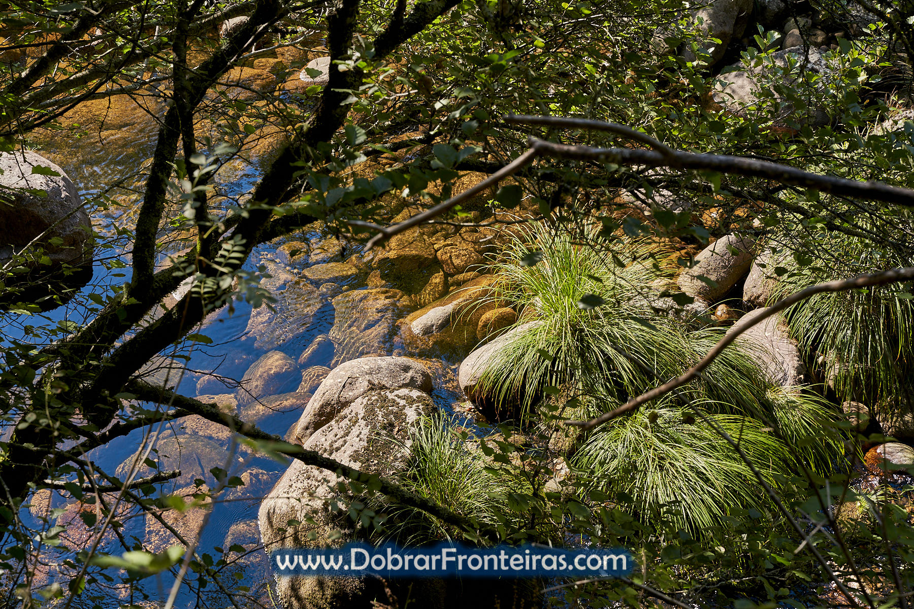 Águas límpidas do rio Vez com pedras e plantas
