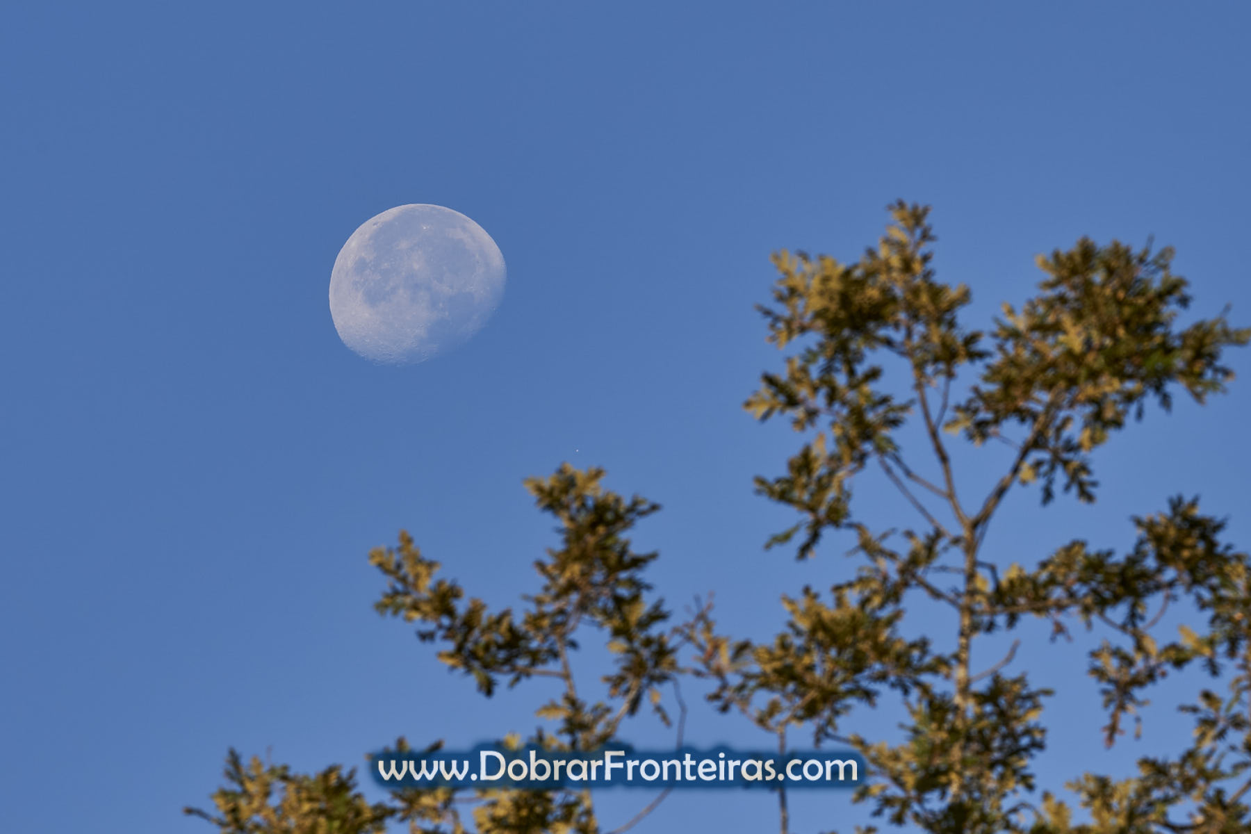 Lua durante o dia