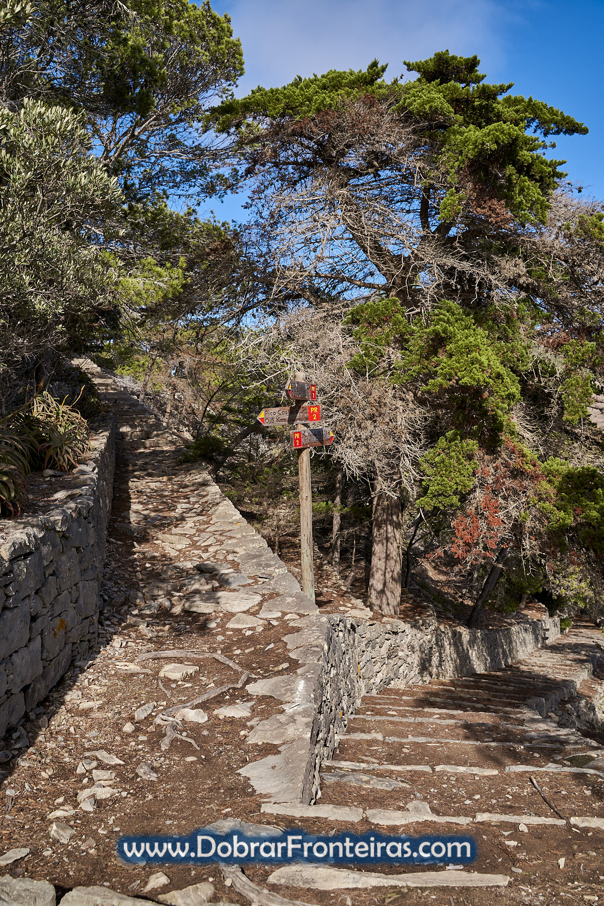 percurso pedestre do Pico Castelo no Porto Santo